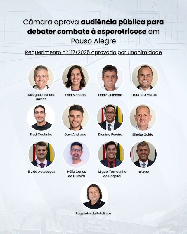 Câmara aprova audiência pública para debater combate à esporotricose em Pouso Alegre 