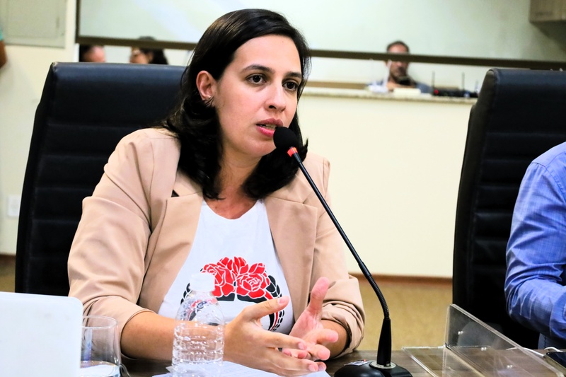 Câmara aprova requerimentos sobre atendimentos a mulheres e atendimento especializado 