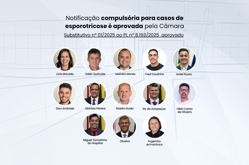 Notificação compulsória para casos de esporotricose é aprovada pela Câmara