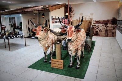 Carro de boi no Núcleo do Cotidiano